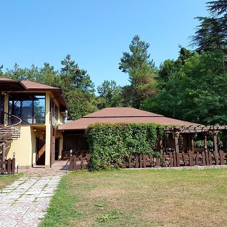 Guest House Black Sea Pizunda Extérieur photo